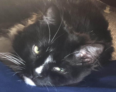 My sweet Artie